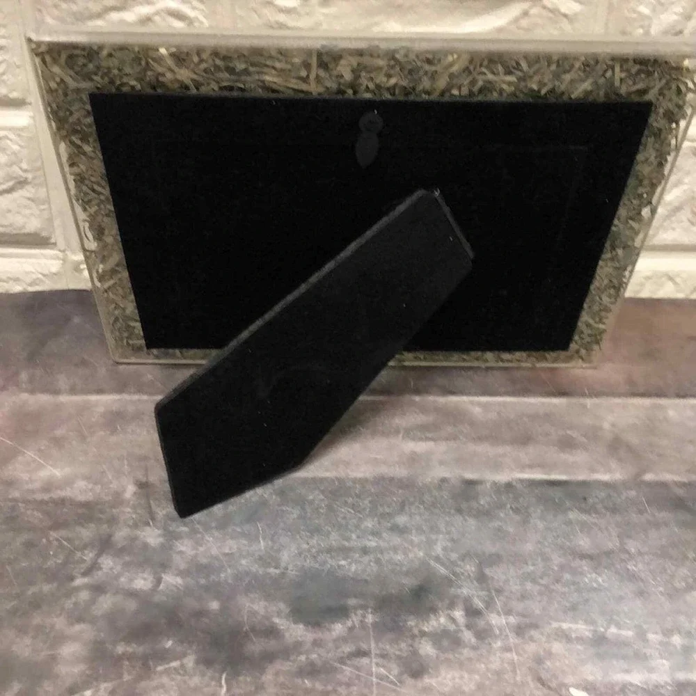 NEW Borden borders 4 x 6 picture frame filled with $$‎ money 4